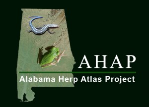 AHAP Logo in Green