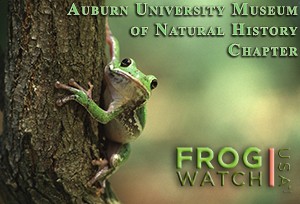 FrogWatch Logo